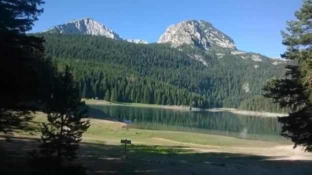 Апартаменты Apartment Simicevic Жабляк-30