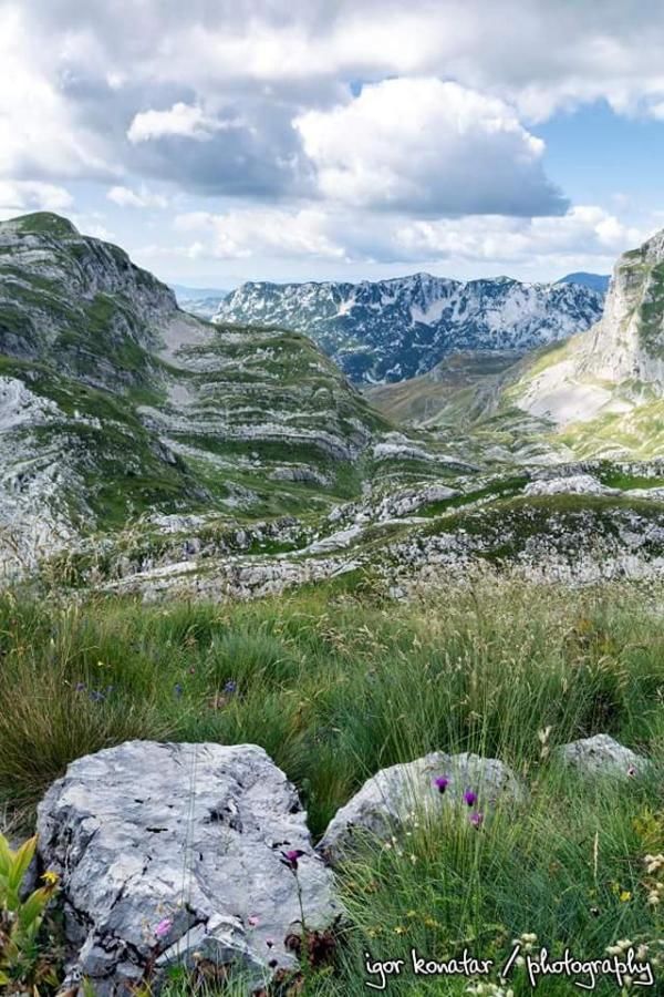 Апартаменты Apartment Simicevic Жабляк-31